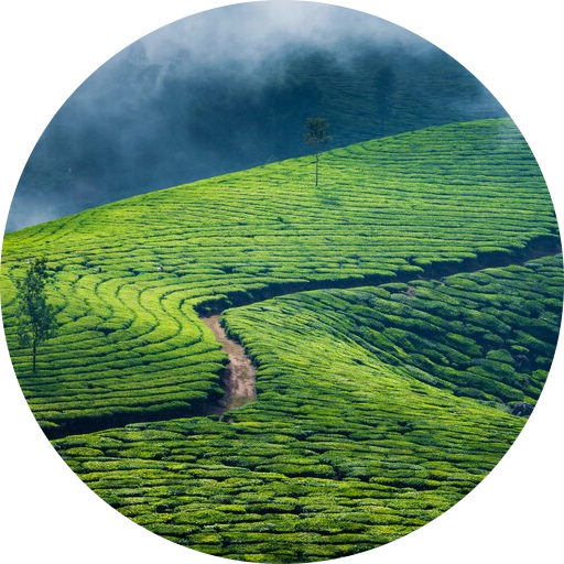 Munnar