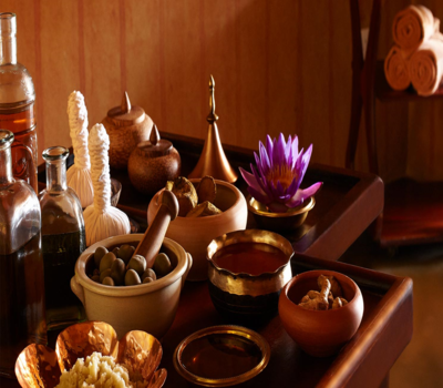 Ayurveda Wellness Retreat