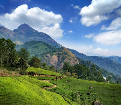 Munnar Hill Escape