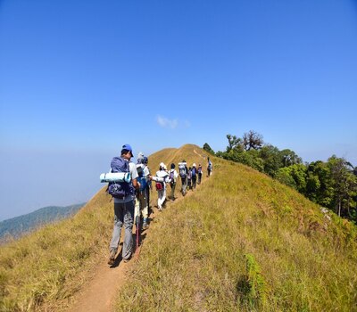 Trekking & Camping (Munnar)